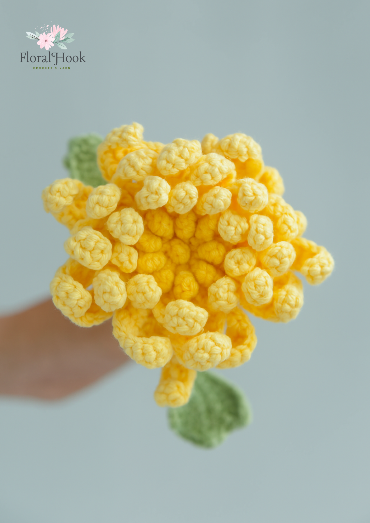 PDF & Video Pattern – Crochet Chrysanthemum