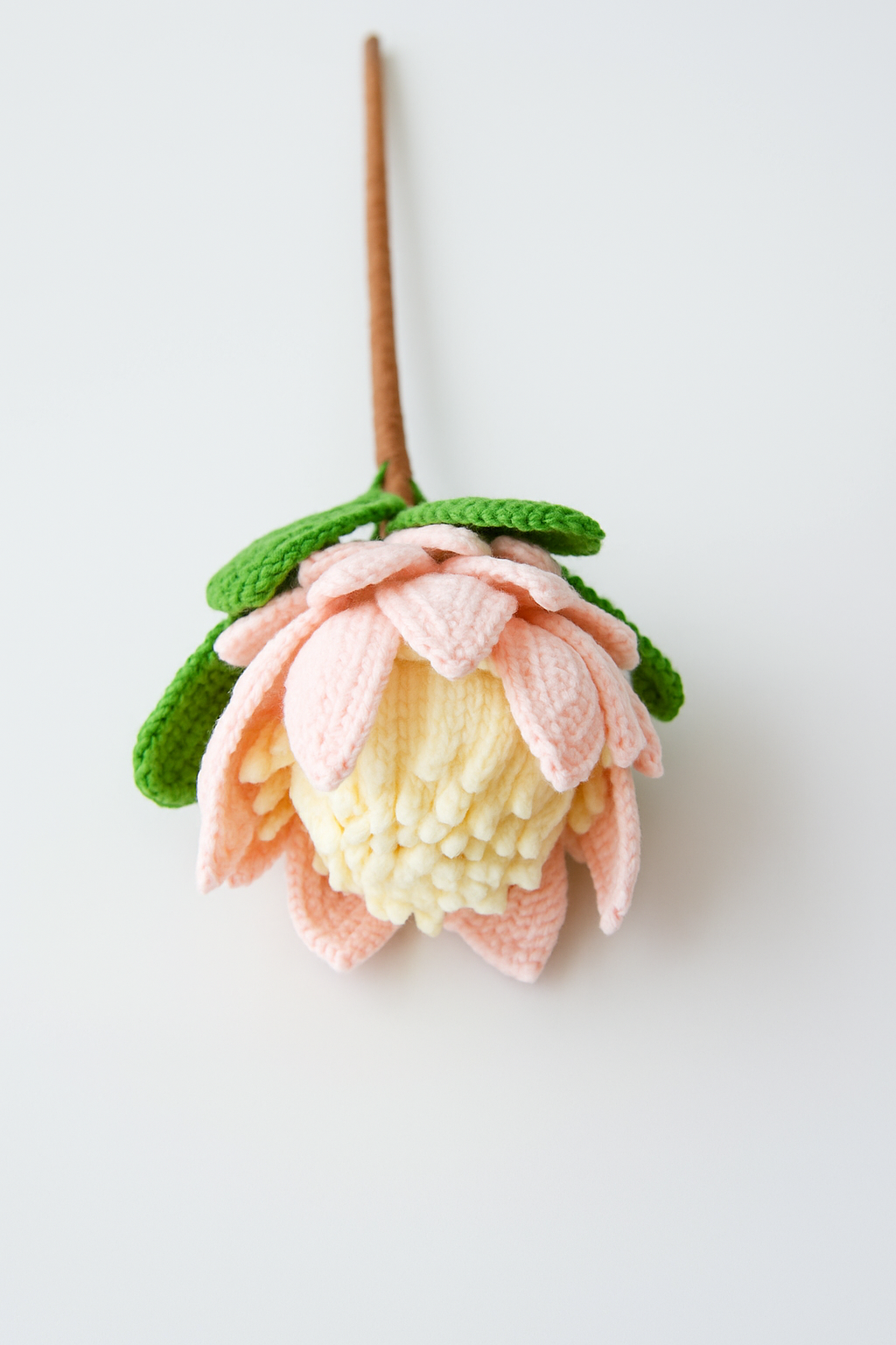 PDF & Video Pattern- Crochet King Protea