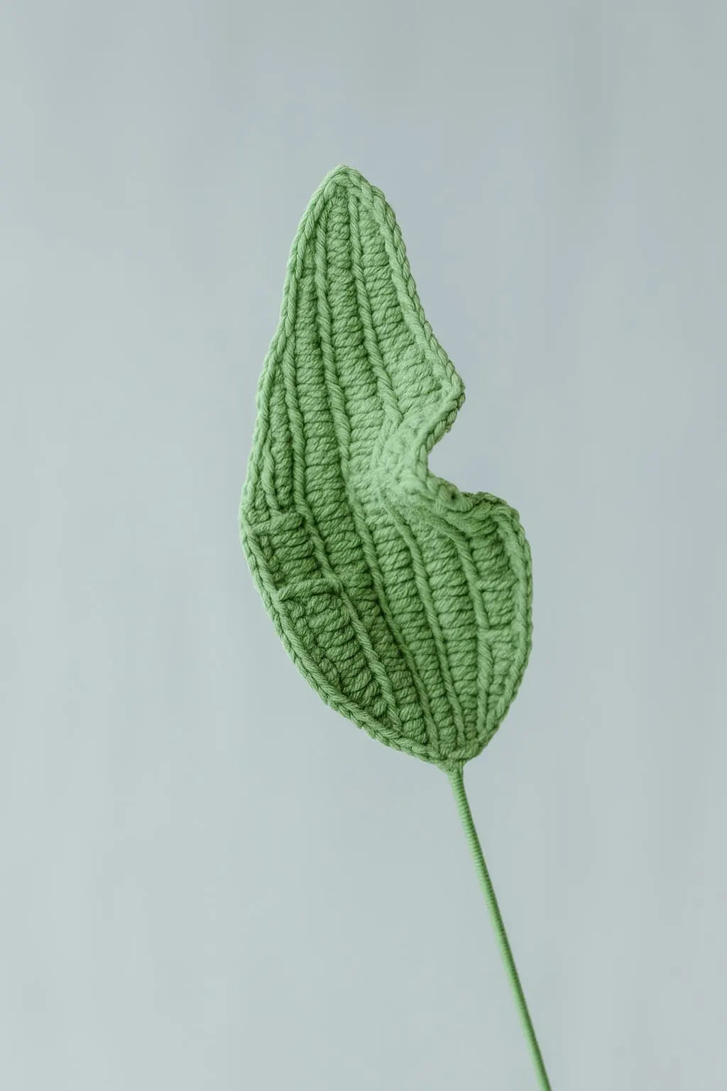 Corn Poppy and Lily Bouquet Kit-with video pattern