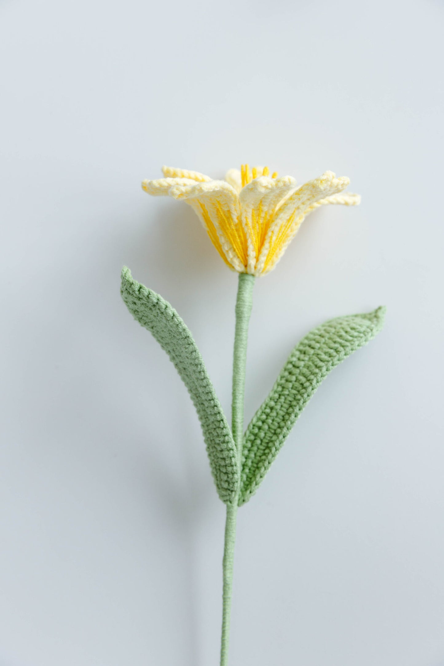 PDF & Video Pattern-Crochet Lewisia Cotyledon Flower