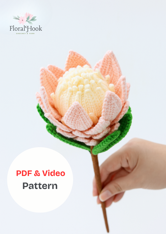 PDF & Video Pattern- Crochet King Protea